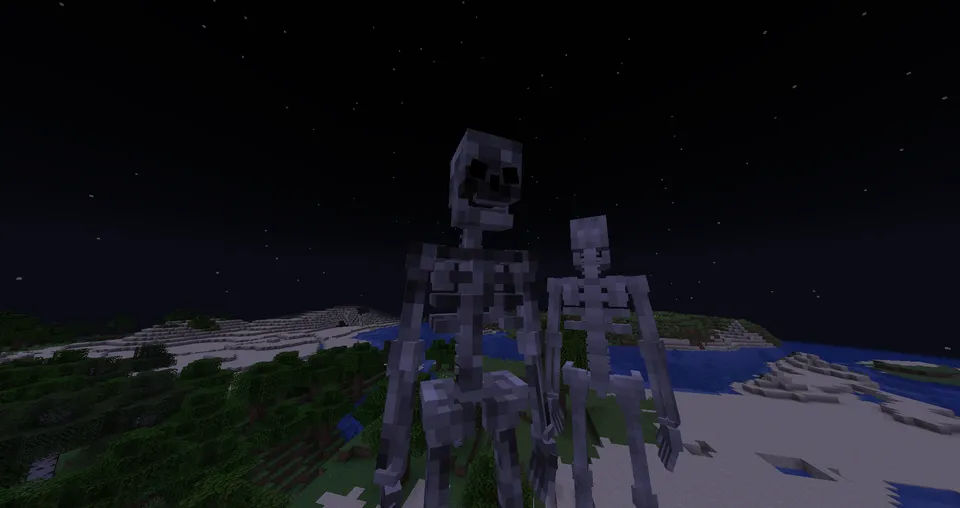 SCP-2863, Starving Skeletons — Minecraft mod, rasm 4