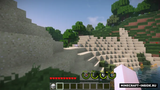 RealSurvivor — Minecraft mod, rasm 4