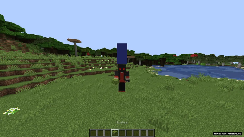 Hat command — Minecraft mod, rasm 2