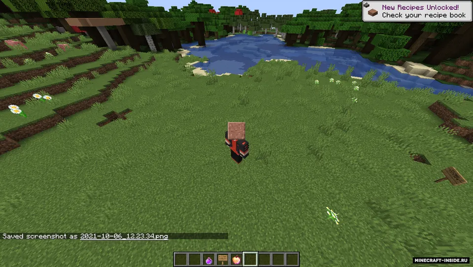 Hat command — Minecraft mod, rasm 4