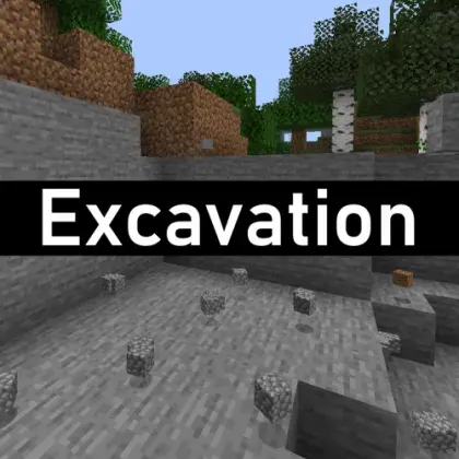 Excavation