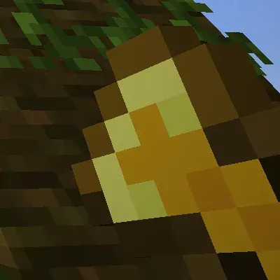 Timber