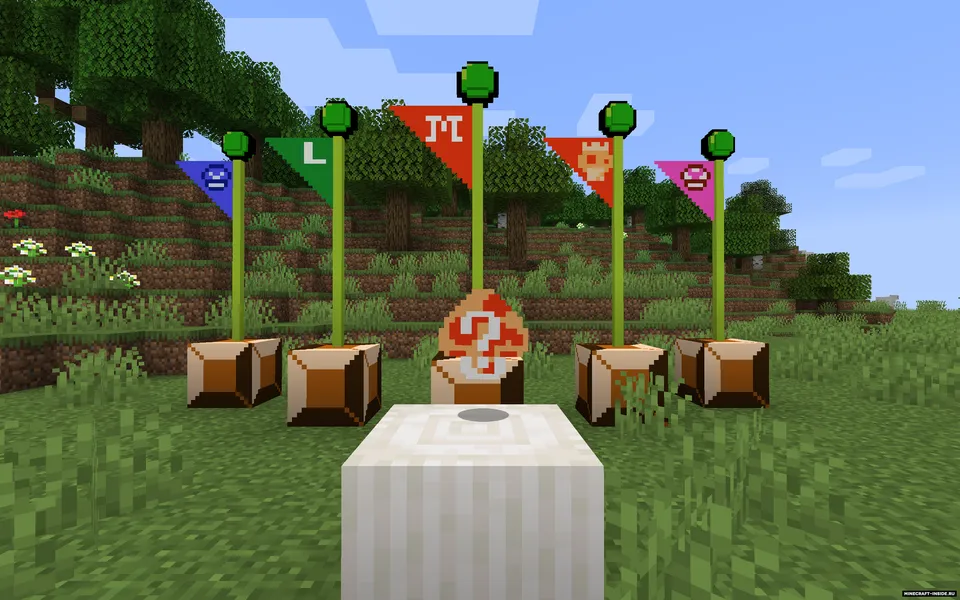 Super Mario Crafter — Minecraft mod, rasm 7