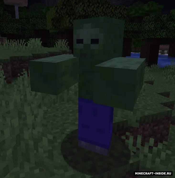 More Zombs — Minecraft mod, rasm 5