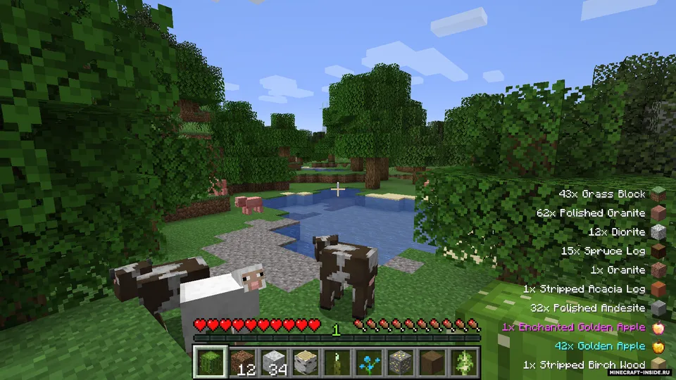 Pick Up Notifier — Minecraft mod, rasm 2