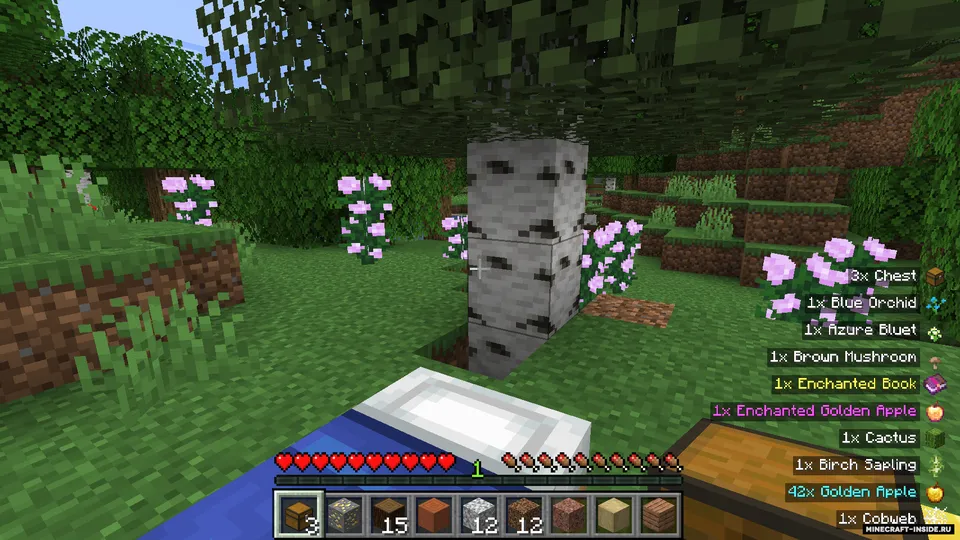 Pick Up Notifier — Minecraft mod, rasm 3