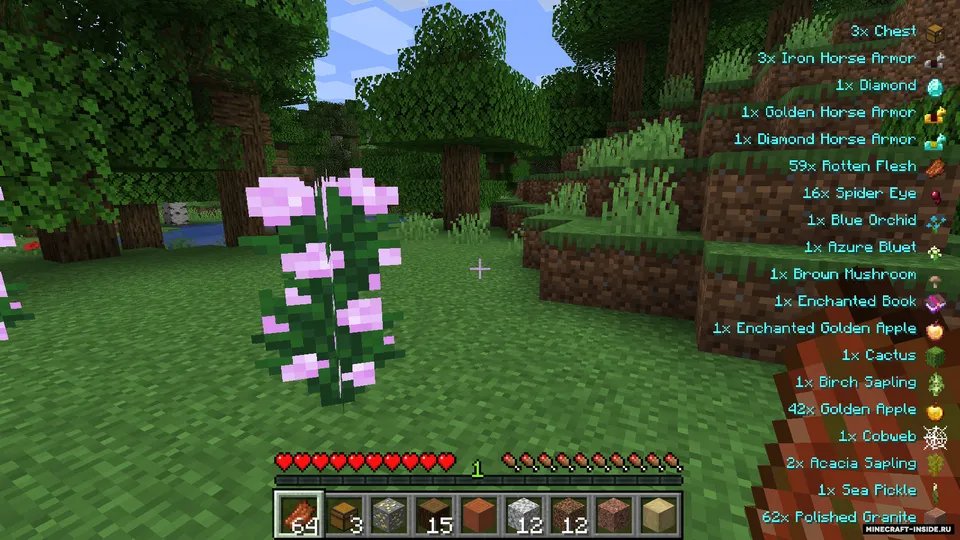 Pick Up Notifier — Minecraft mod, rasm 5