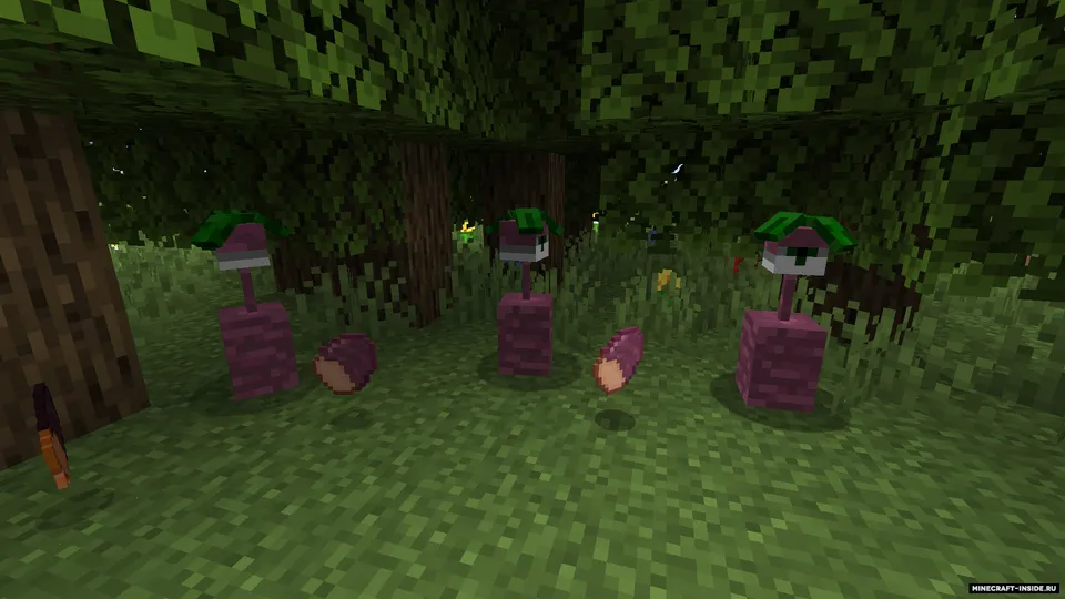 Choconilla — Minecraft mod, rasm 2