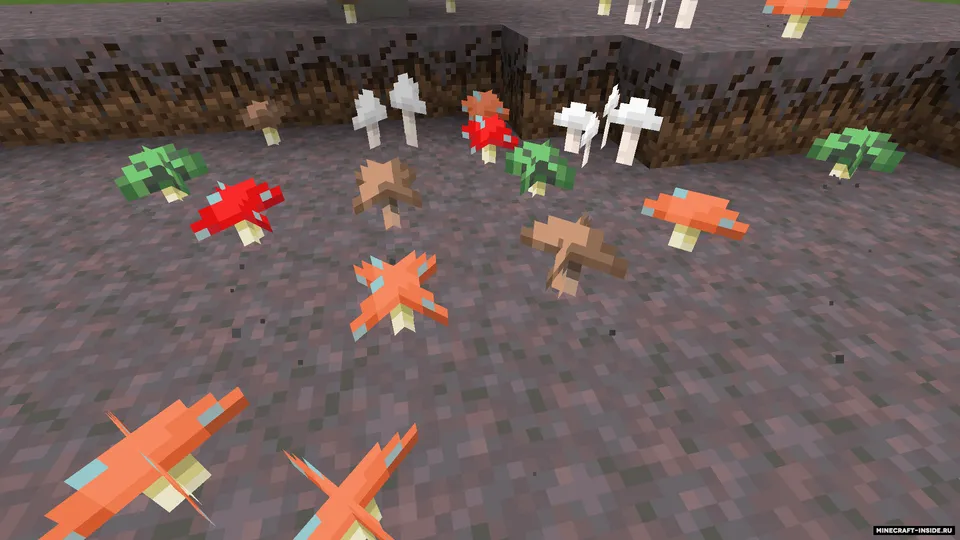 Choconilla — Minecraft mod, rasm 4