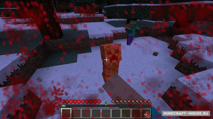 Enhanced Visuals — Minecraft mod, rasm 7