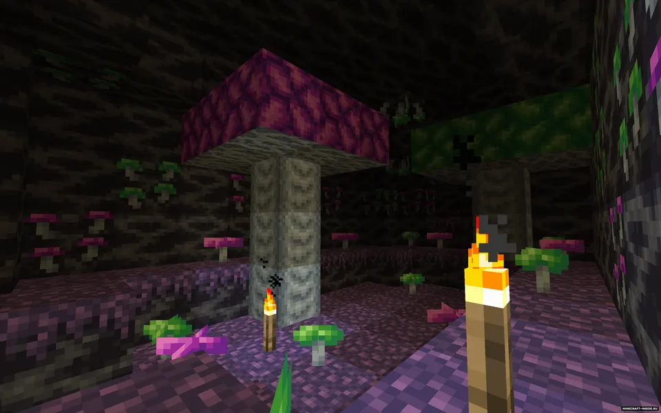 Xenoclus 2 — Minecraft mod, rasm 4