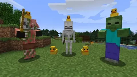 Rubber Duck