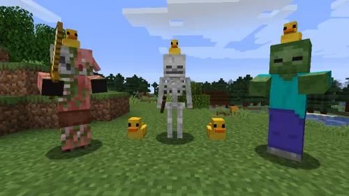 Rubber Duck — Minecraft mod, rasm 1