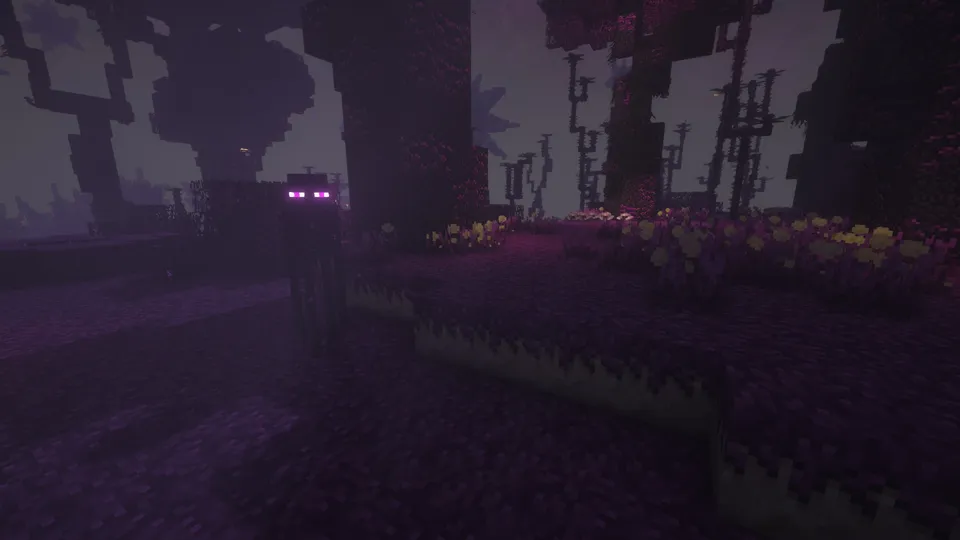 BetterEnd — Minecraft mod, rasm 6
