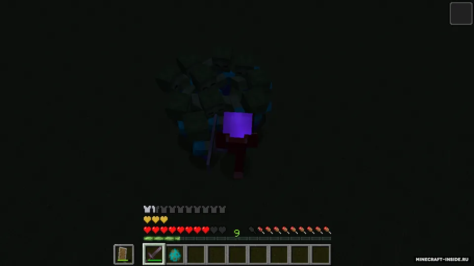 Ultimate Protect — Minecraft mod, rasm 2