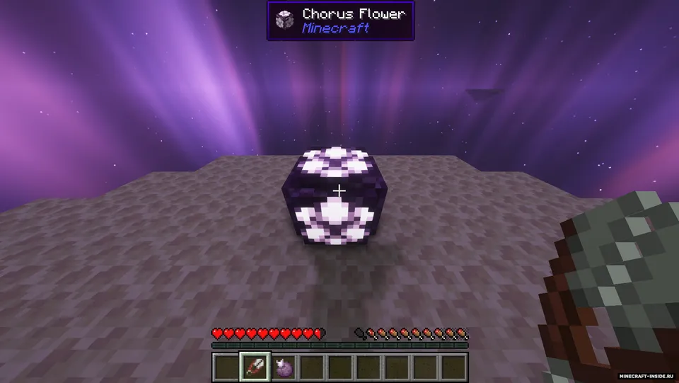 Ripplers — Minecraft mod, rasm 2