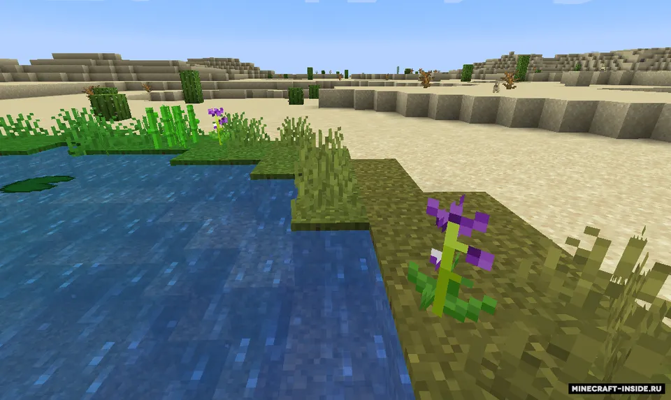 Biome Enhancements — Minecraft mod, rasm 6