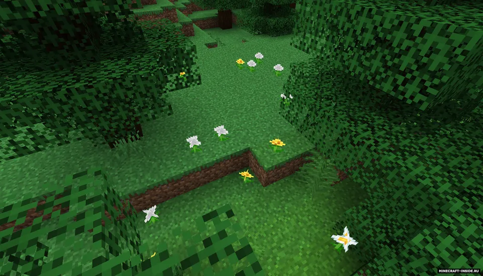Terra Incognita: The Unknown Land — Minecraft mod, rasm 5