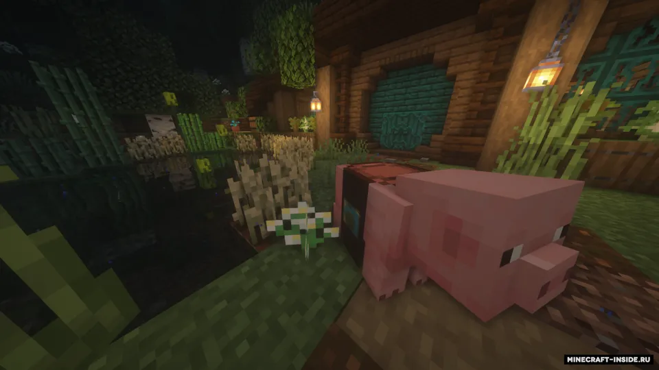 More Banner Features — Minecraft mod, rasm 5