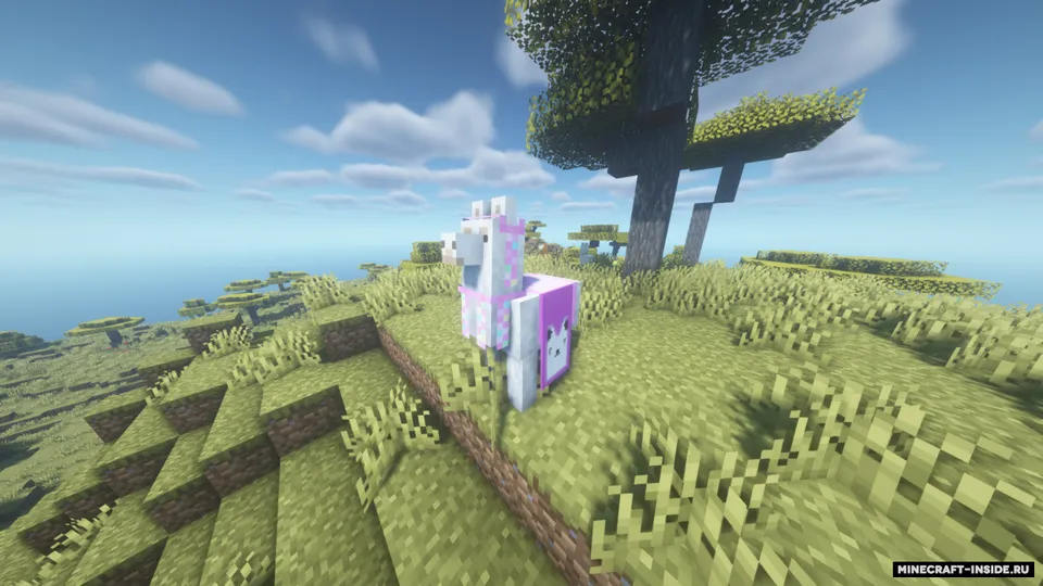 More Banner Features — Minecraft mod, rasm 8