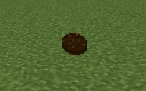 Chokolate cookie
