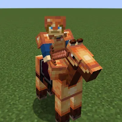 Copper Equipment