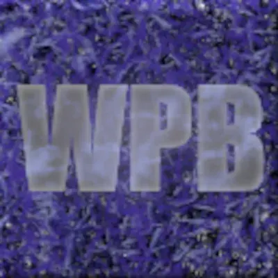 Wither-Proof Block