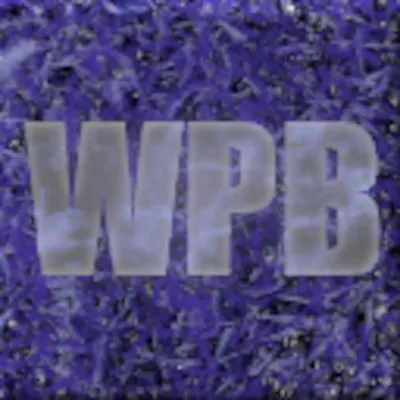 Wither-Proof Block — Minecraft mod, rasm 1