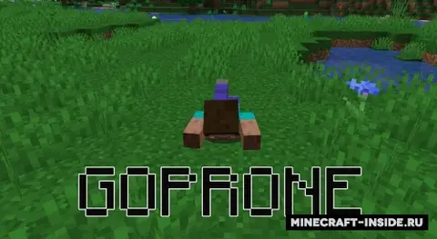 GoProne