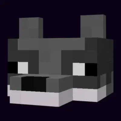 Raccoon