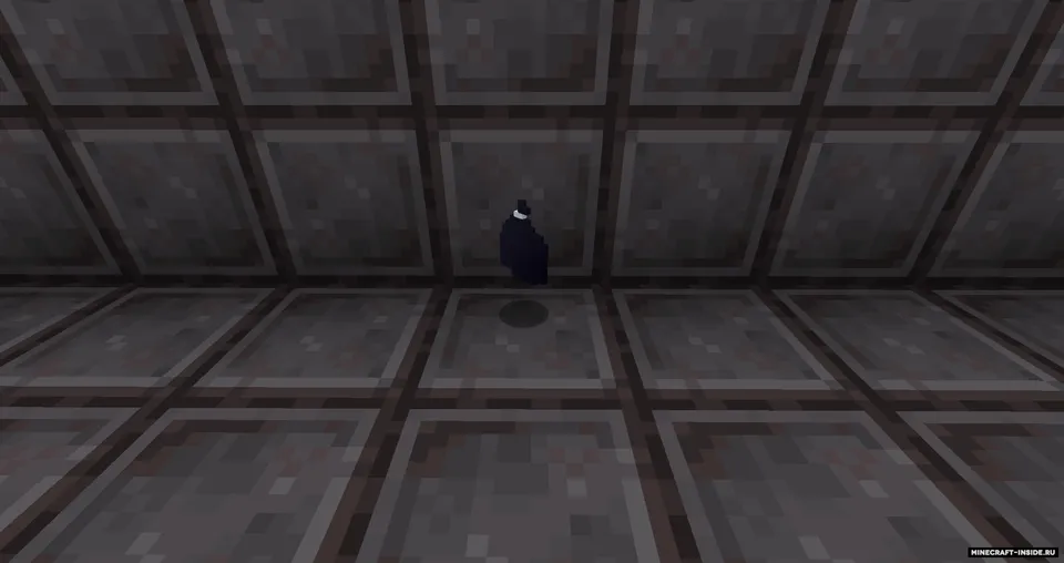 Raccoon — Minecraft mod, rasm 5