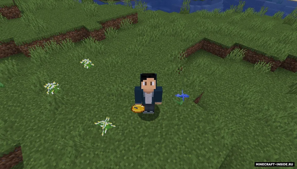 Dynamical Compass — Minecraft mod, rasm 2