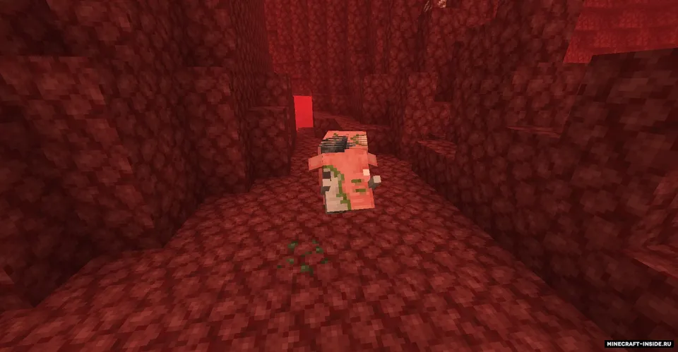 Netherlicious — Minecraft mod, rasm 5
