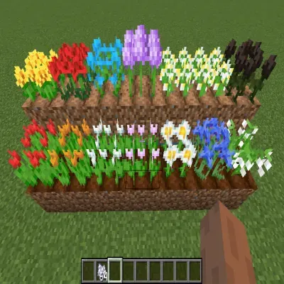 Flower Seeds